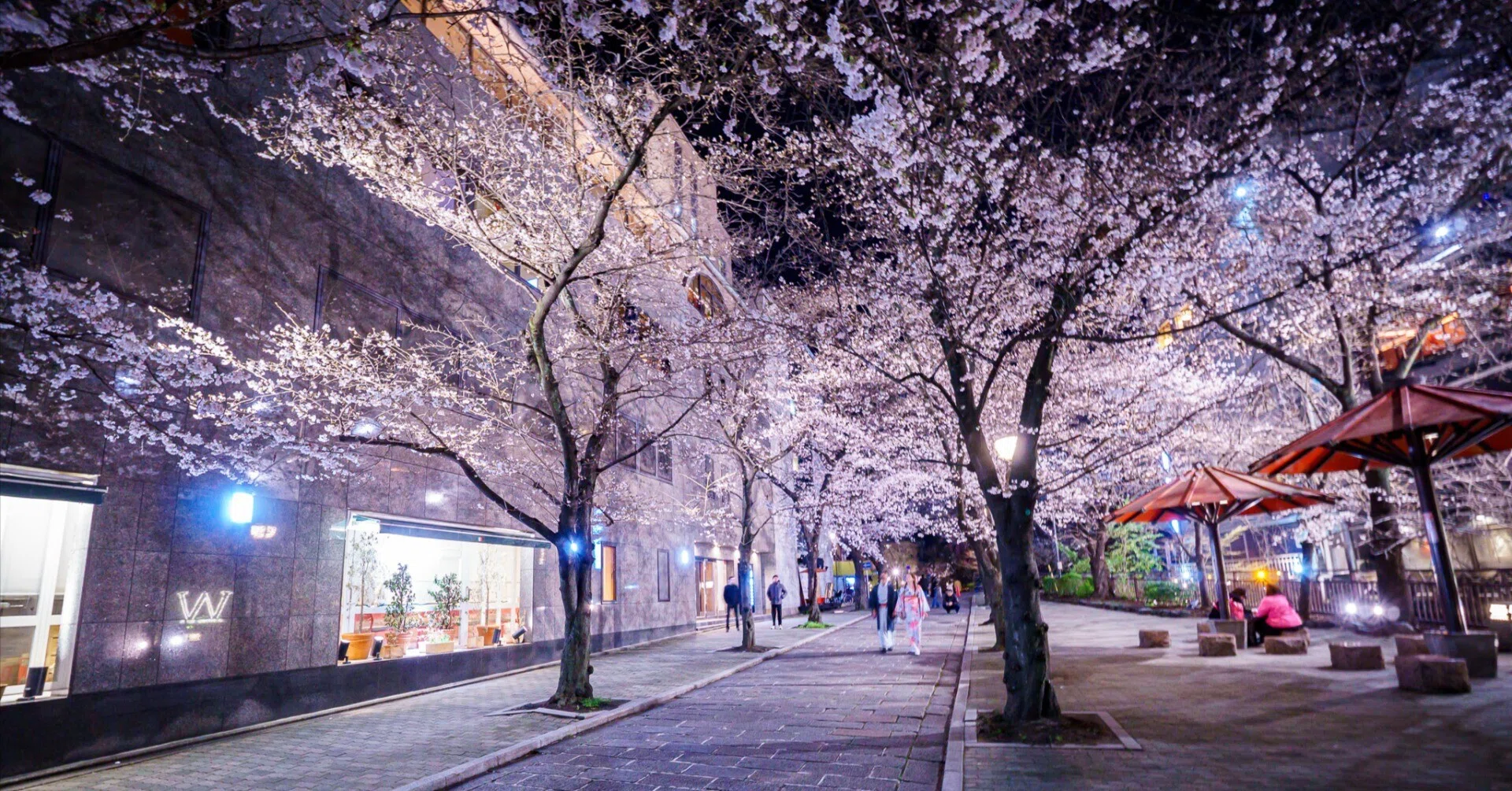 夜桜散歩 祇園界隈夜桜散歩(26.3.26)｜京都散歩記録