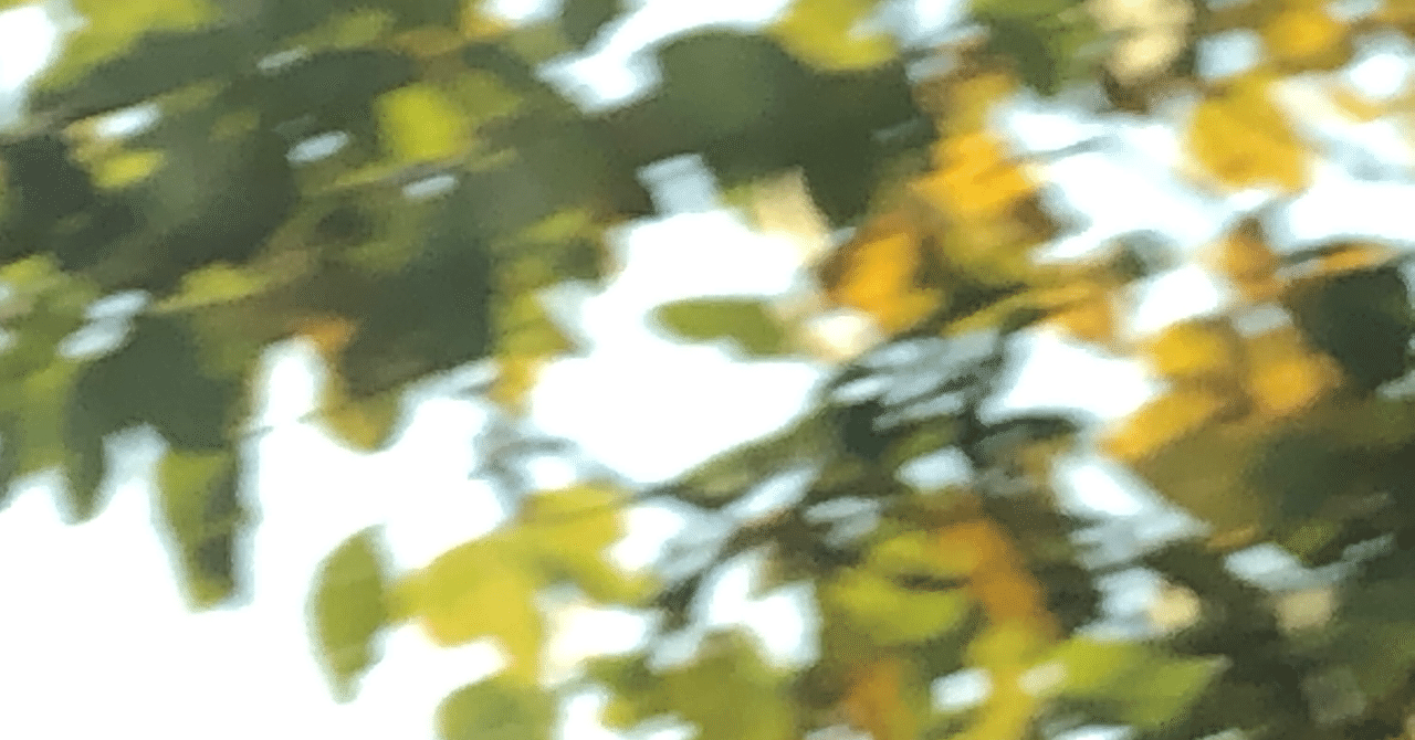 チサの葉 直治 Note