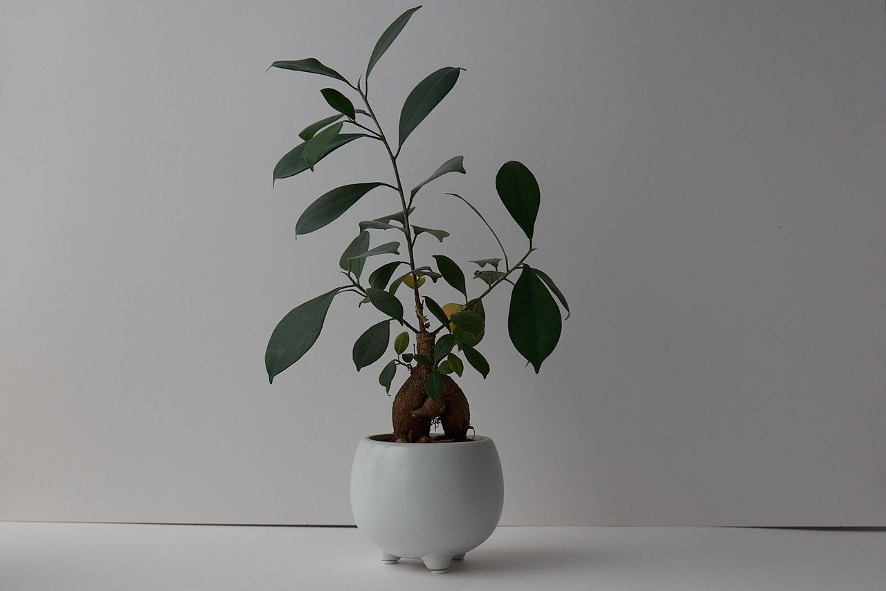 365日ライカ 069 白背景で物撮りした後の加工方法 365leica Note 365日ライカ 069 白背景で物撮りした後の加工方法 365leica Note