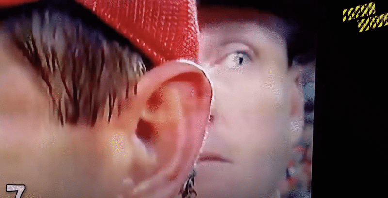 蛇の正体 ﾈコ Note