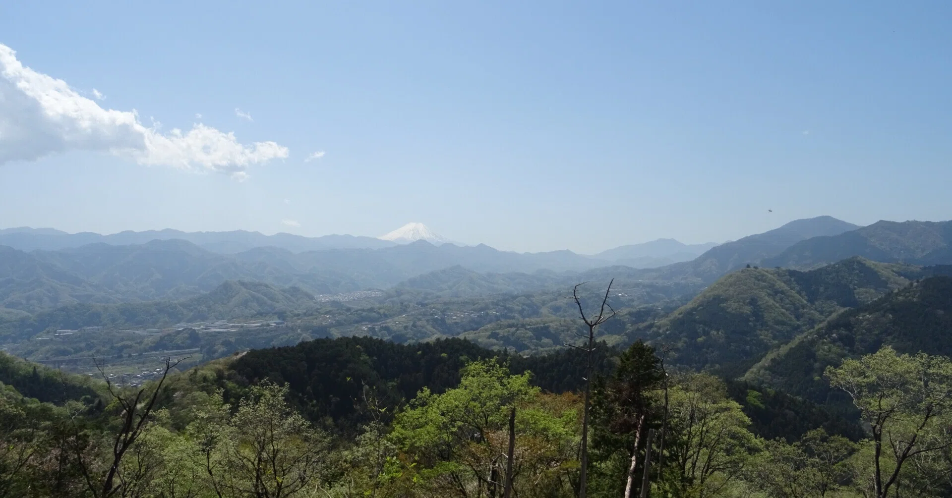能岳・八重山へ春の生き物を訪ねて（山梨県上野原市）｜東陽一