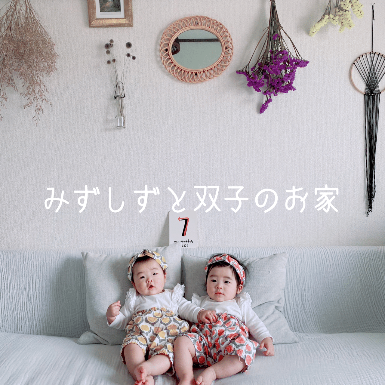 このたび、生後5ヶ月の双子を抱えながら【双子のお家】に関する活動を