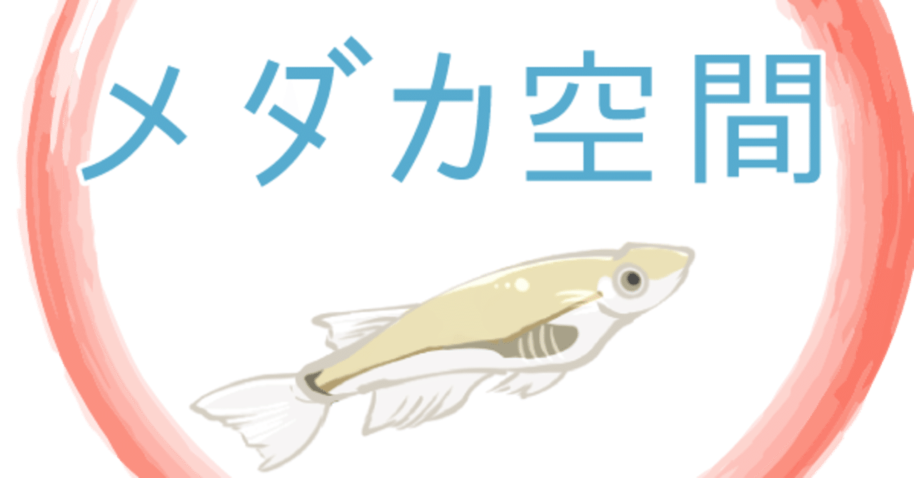 メダカ空間について メダカ空間 Note メダカ空間について メダカ空間 Note