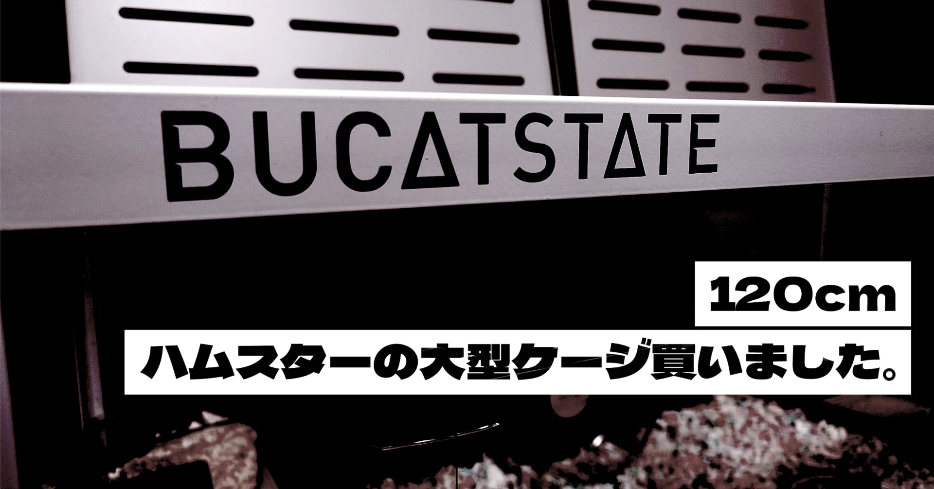 BUCATSTATE 120cm】ハムスターの豪邸を買ったら、部屋のパワーバランス