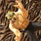 Finger.tiger
