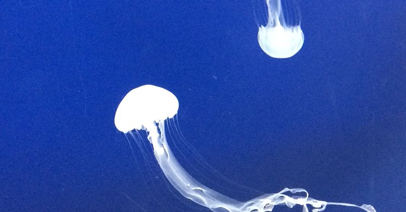 無表情なキャラクターの魅力 Note