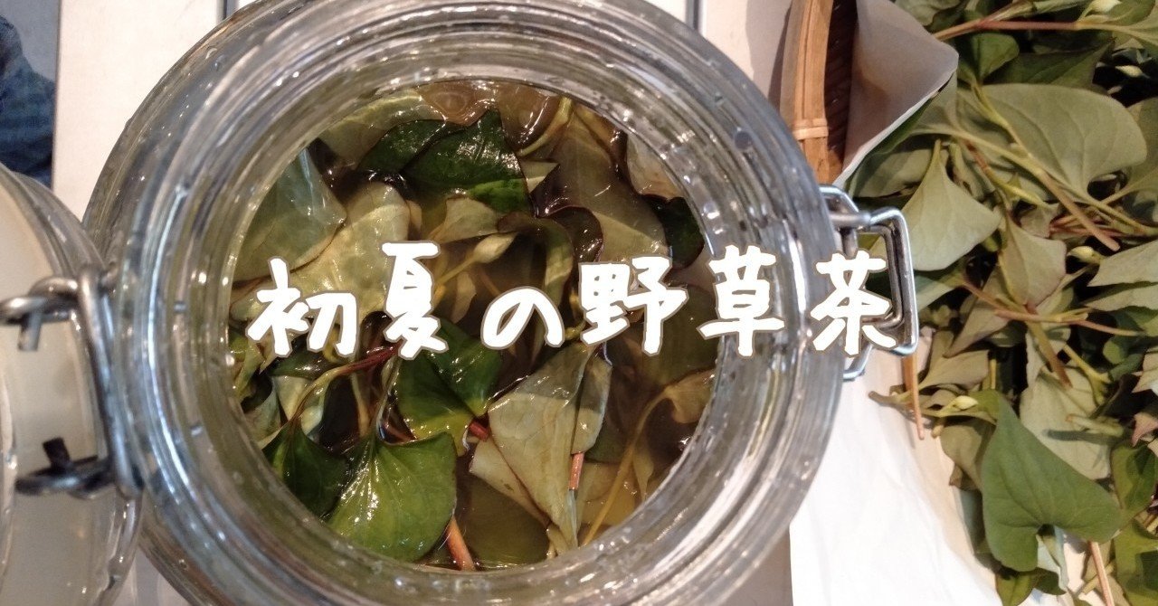 初夏の野草茶 040 調味料革命家ぴきにき未希 Note 初夏の野草茶 040 調味料革命家ぴきにき未希 Note