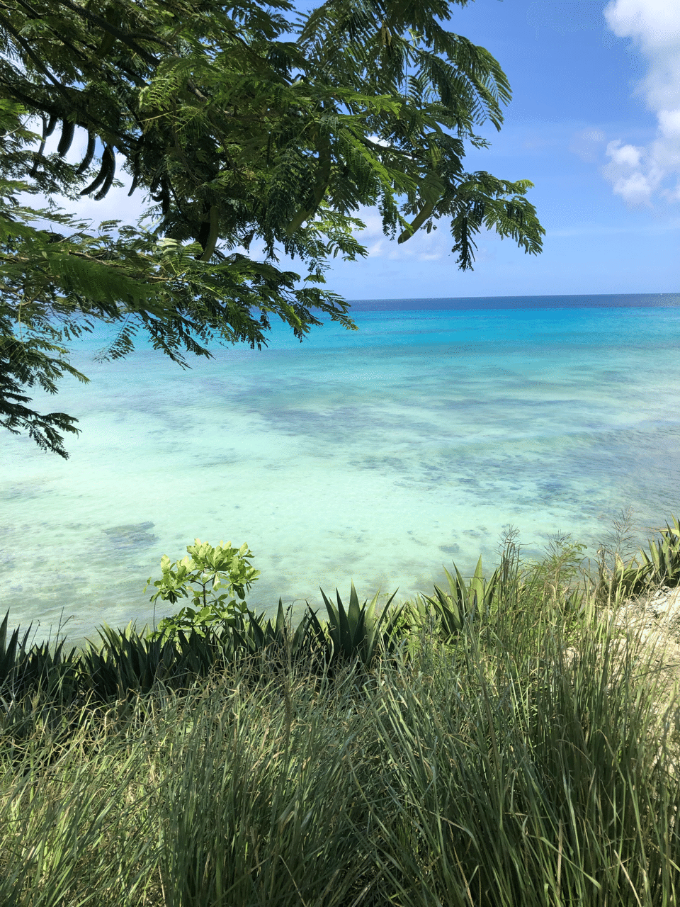 バルバドス Barbados Japaneseclass Jp