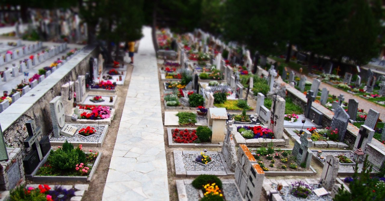 エセ名言 間違って 生まれてしまった 名言 しゅぎもん Note