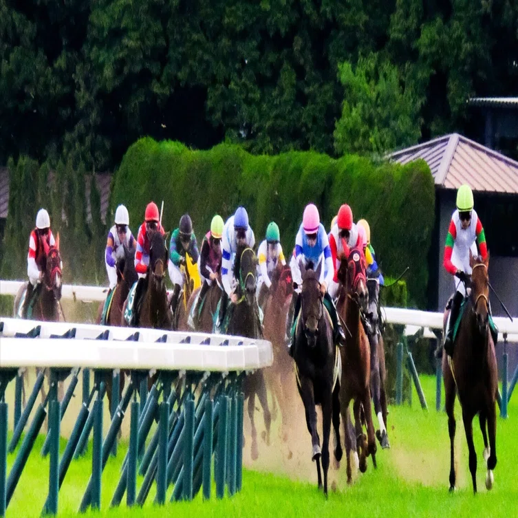競馬馬券セット 2013年〜2016年ダービー馬 【公式通販】