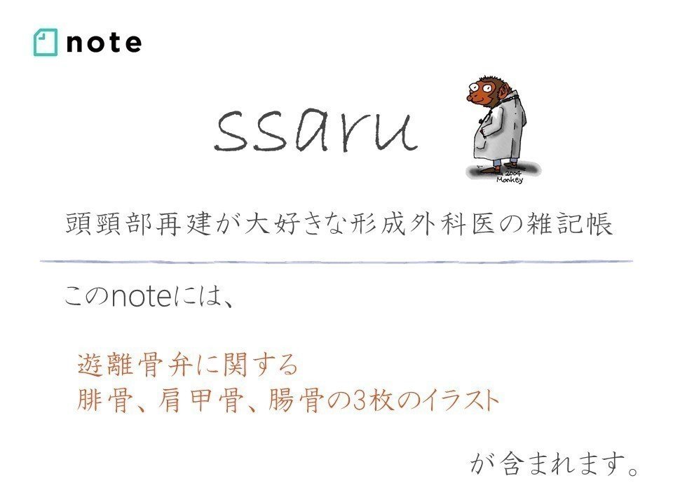 医療用イラスト 遊離３骨弁 Ssaru Note
