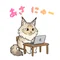 あさにゅー | 子猫のノルウェージャンフォレストキャットのあさにゅーす