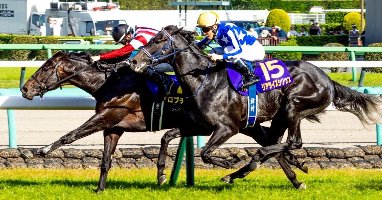 JRA 競馬 写真集 競馬写真集⑥（2026年4月）｜ななしの緑
