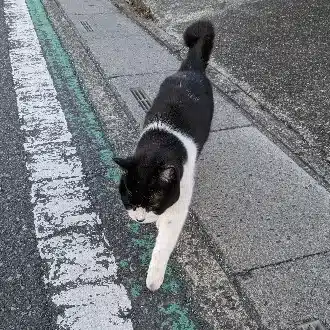 ちるず