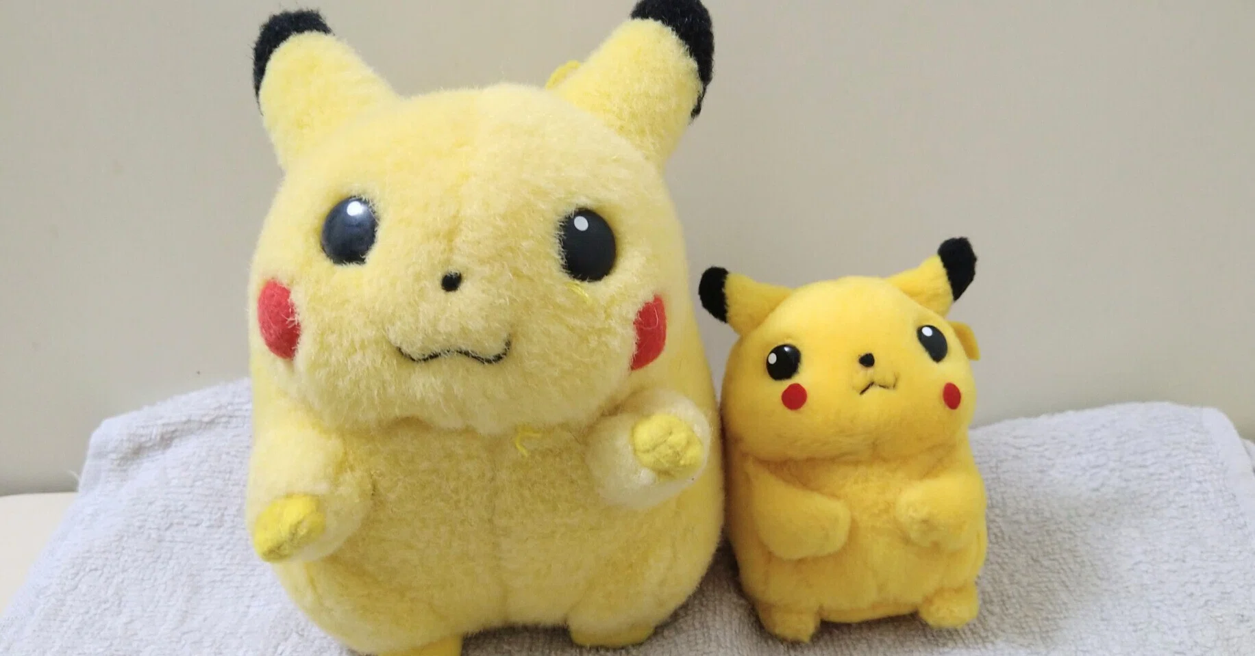 ポケットモンスター ポケモン ぬいぐるみ 25個 セット