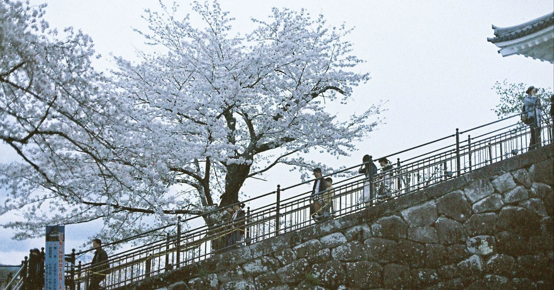 珍フィルムスナップ：LomoChrome Color '92（神奈川・小田原