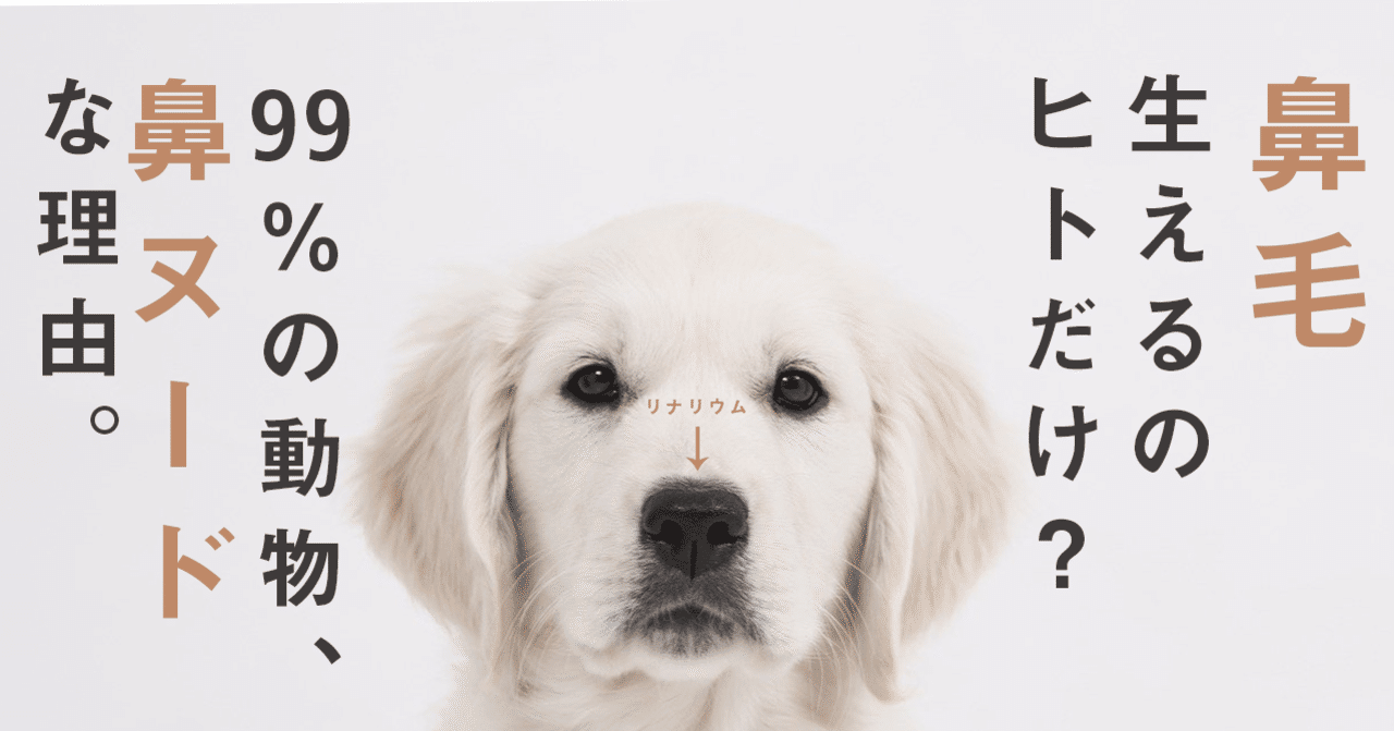 鼻毛が生えるのは人間だけ 99 の動物 鼻ヌードな理由 リナリウムの謎 はがくん 独学を応援する薬剤師 Note