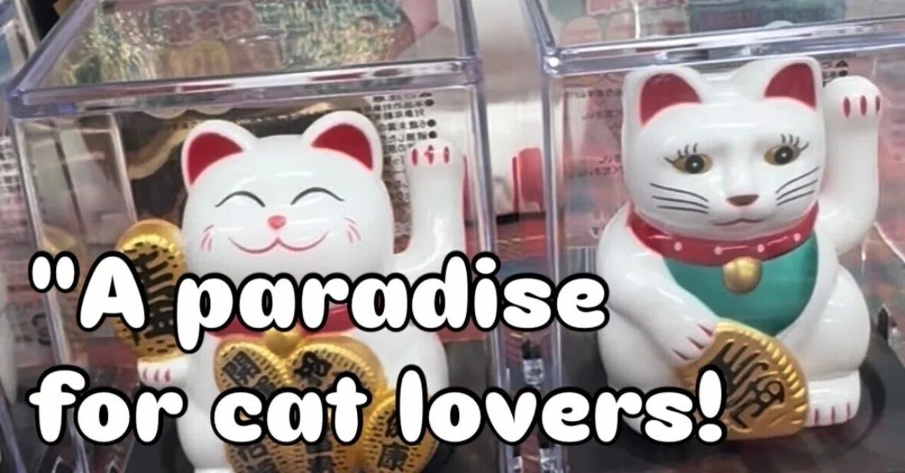 🐾 Attention Cat Lovers! Discover the Cutest Cat Stationery in