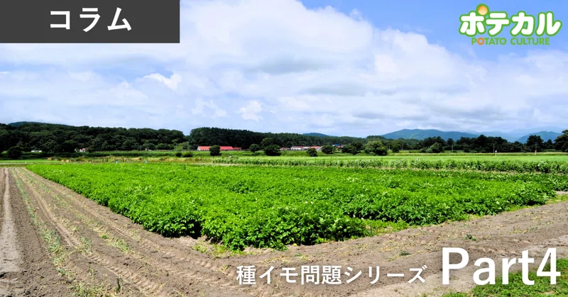 種イモ不足は農業だけの問題ではない
