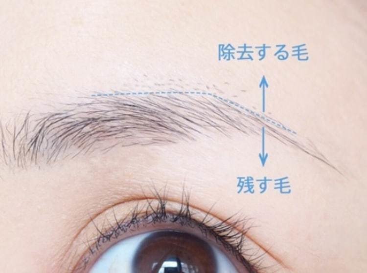 眉毛について ふわふわ Note