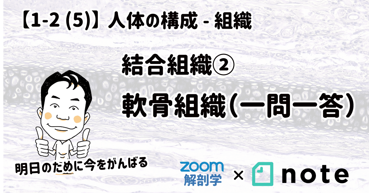 1 2 5 結合組織 軟骨組織 一問一答 マガジン記事 黒澤一弘 Note