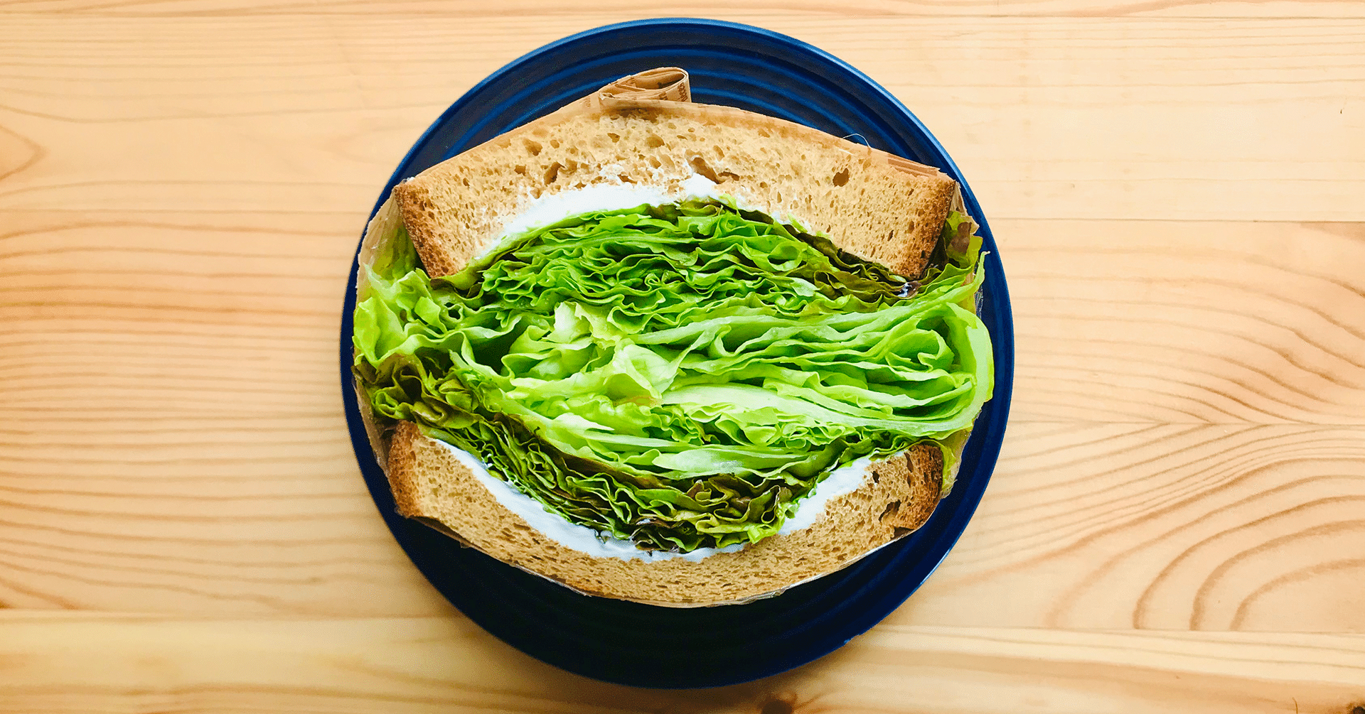 たまには レタスだけのサンドイッチも食べてみたい Tokito Note