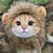 秋の獅子ちゃん
