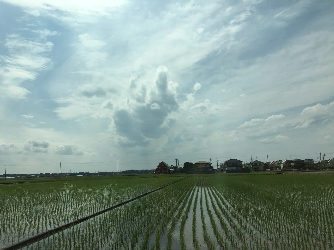 それゆけ 凸凹ママ日記 プーさんの青雲 あおくも 某お線香のcmではありませんのよ悪しからず と万葉ロマンと ほっこり な Note
