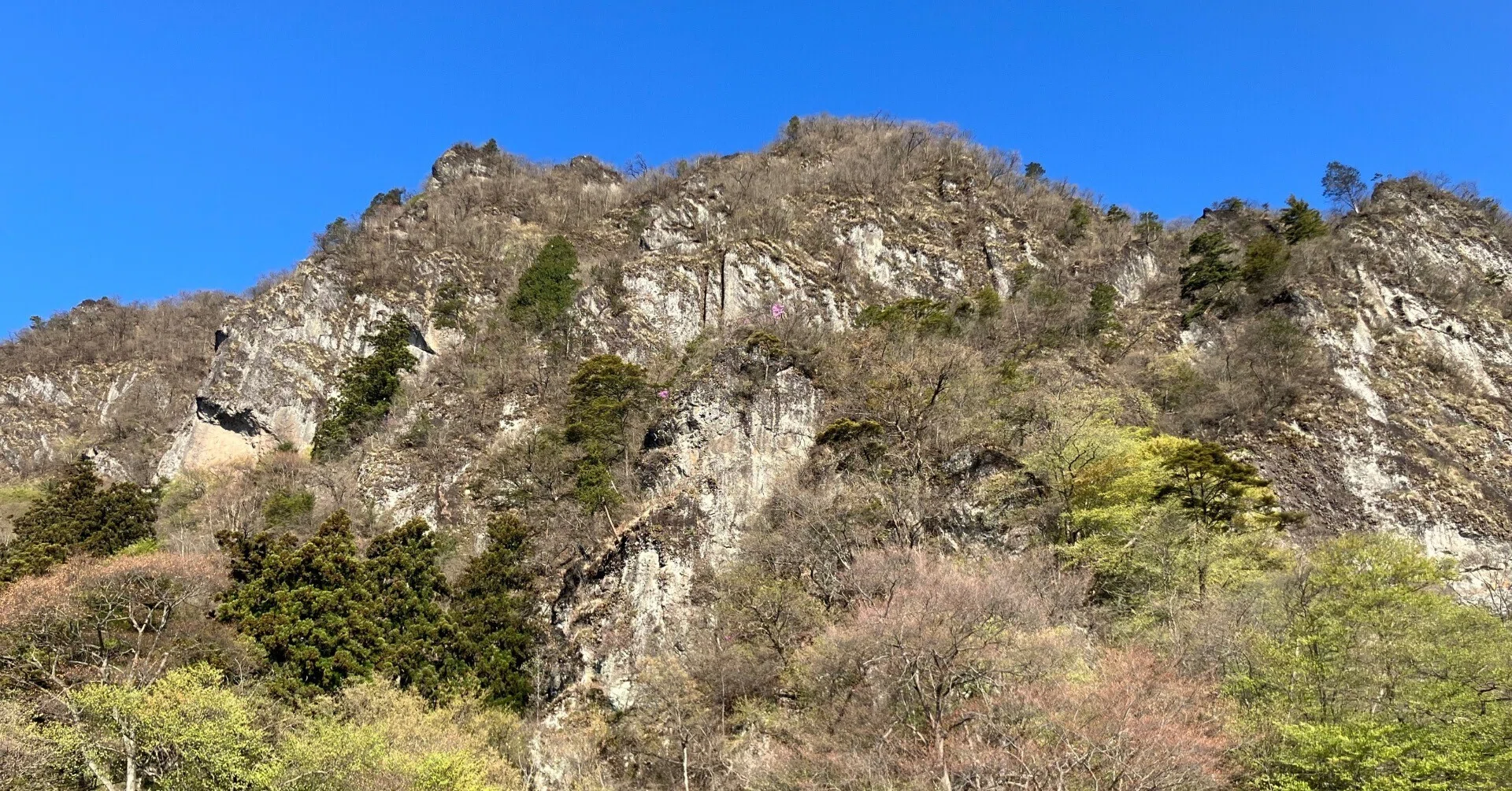 グリーンシーズン事始めは岩山を楽しむ妙義山へ｜みどり