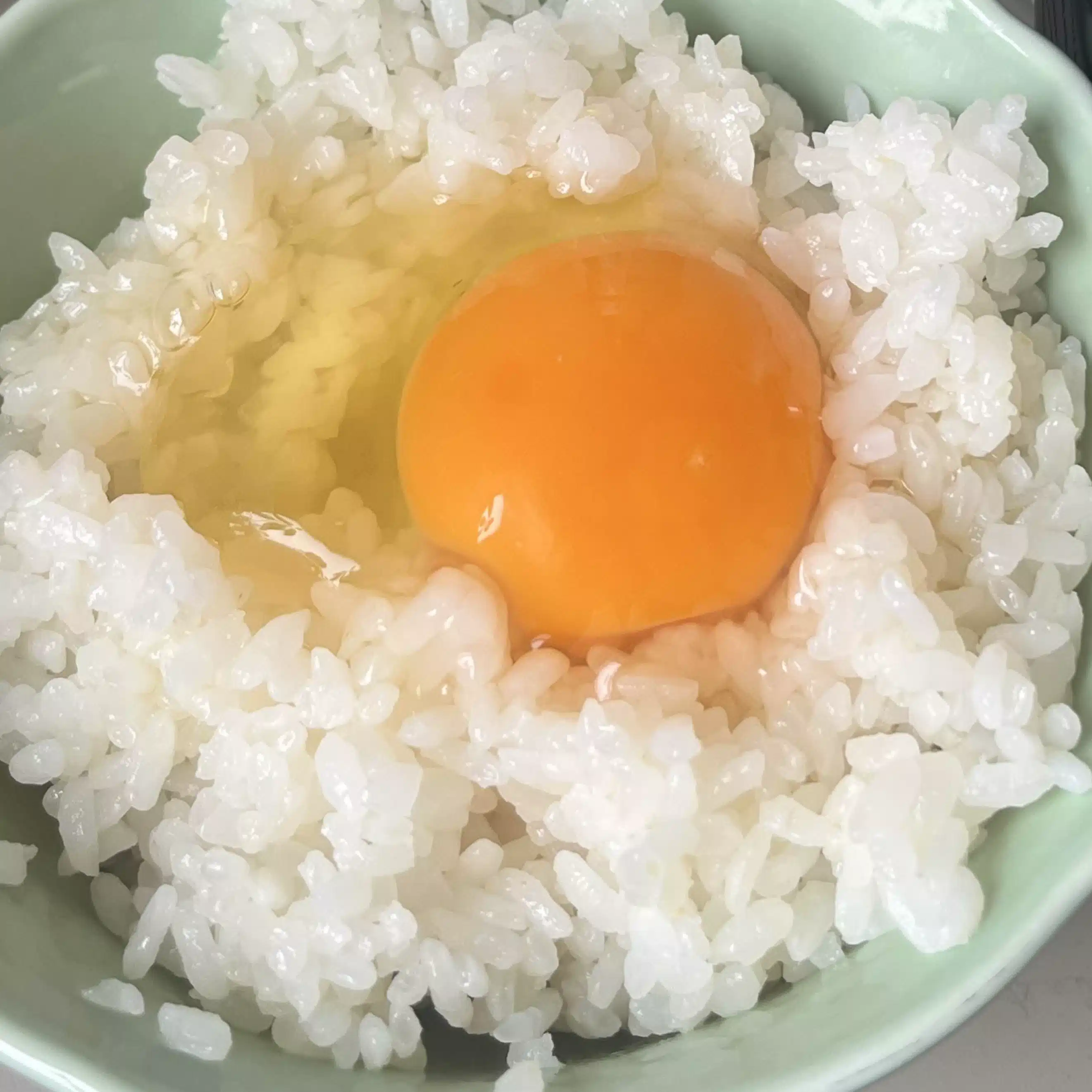 あおざめもずく
