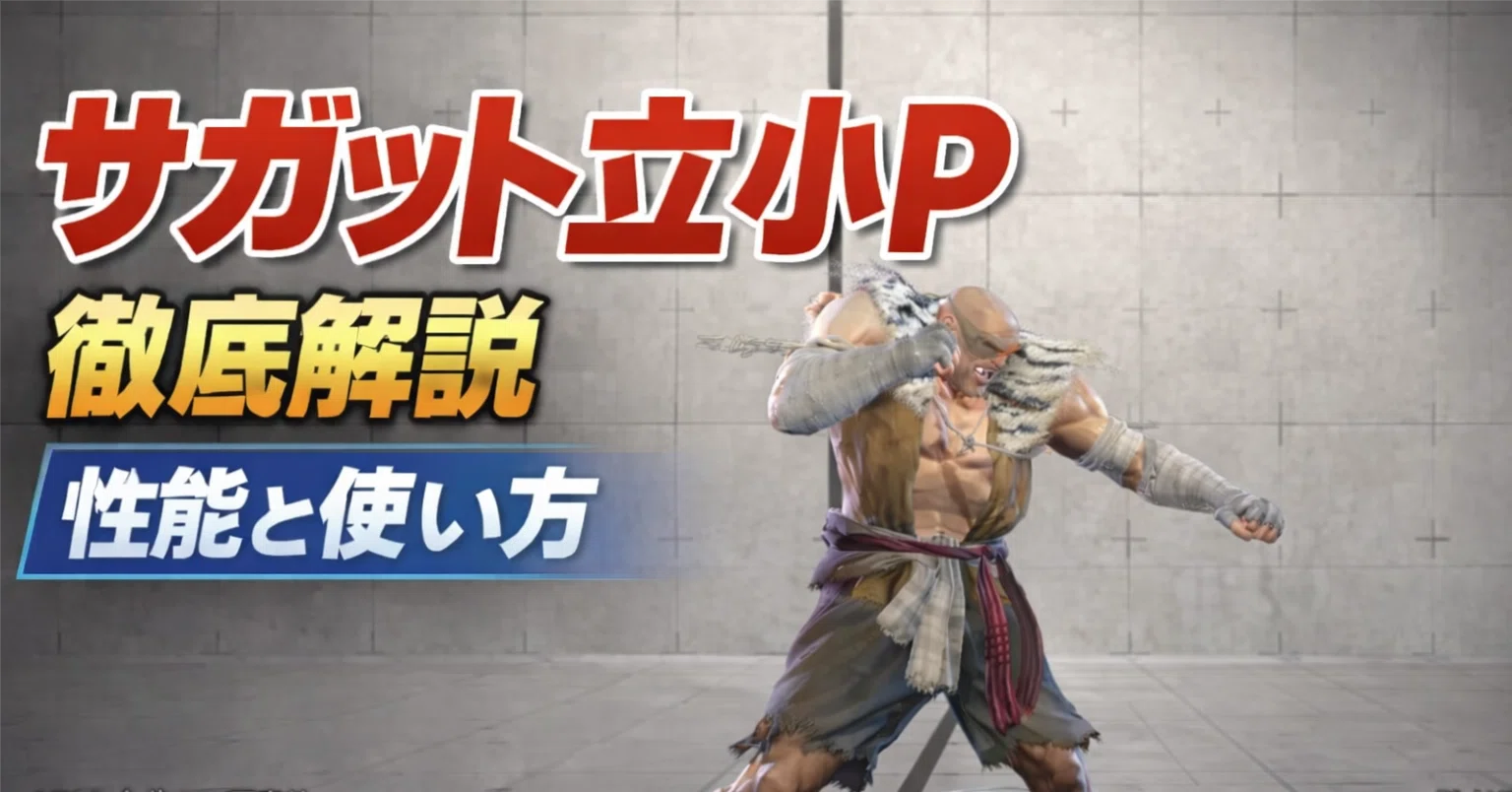 Sagat Standing LP Thorough Explanation | Performance and Usage｜白 
