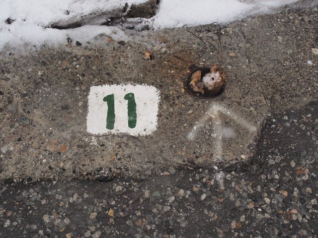 黒部アルペンルートの室堂にて。路側に記されたナンバーと矢印は、ポールを立てる穴の位置を示しているのだろうか。