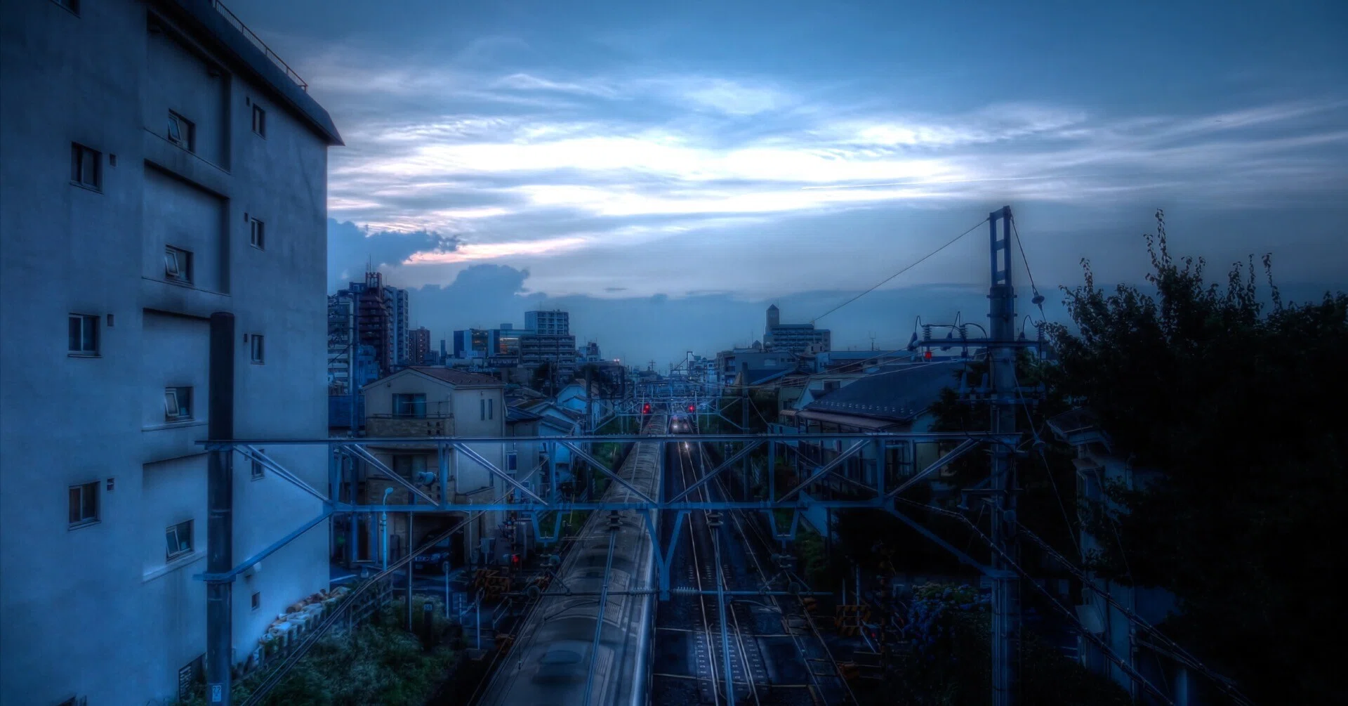 188/365: Sunset After the Rain｜タラネコ