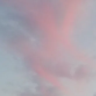 花星沙夜