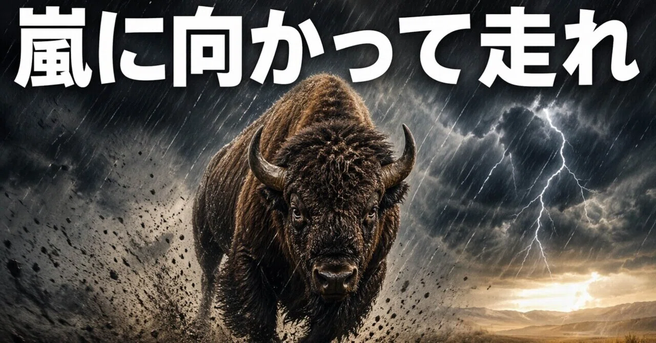 Are Buffaloes Stupid for Running Into a Storm?｜yuya_tsum1