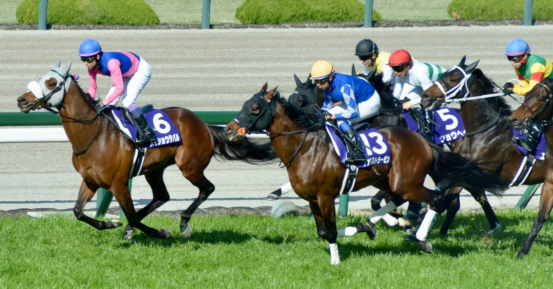 2026年 大阪杯 阪神競馬場遠征②｜ぽてち