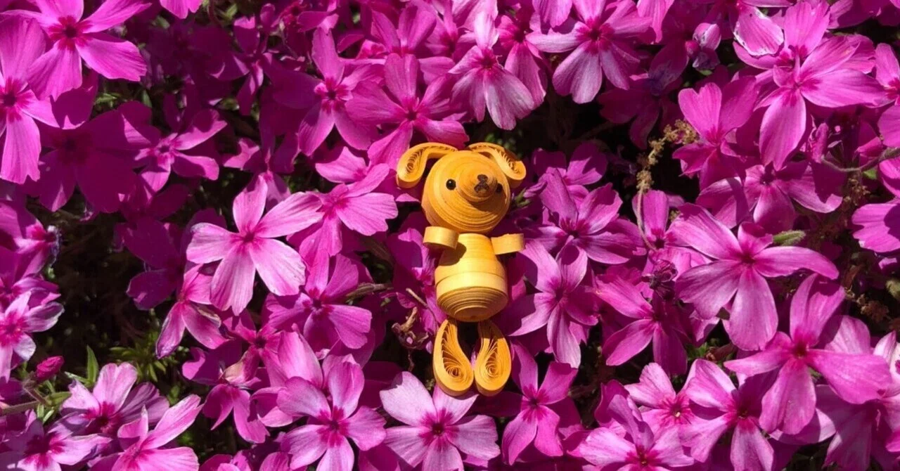 今が満開！富士芝桜まつりで春のパワーをチャージしてきました