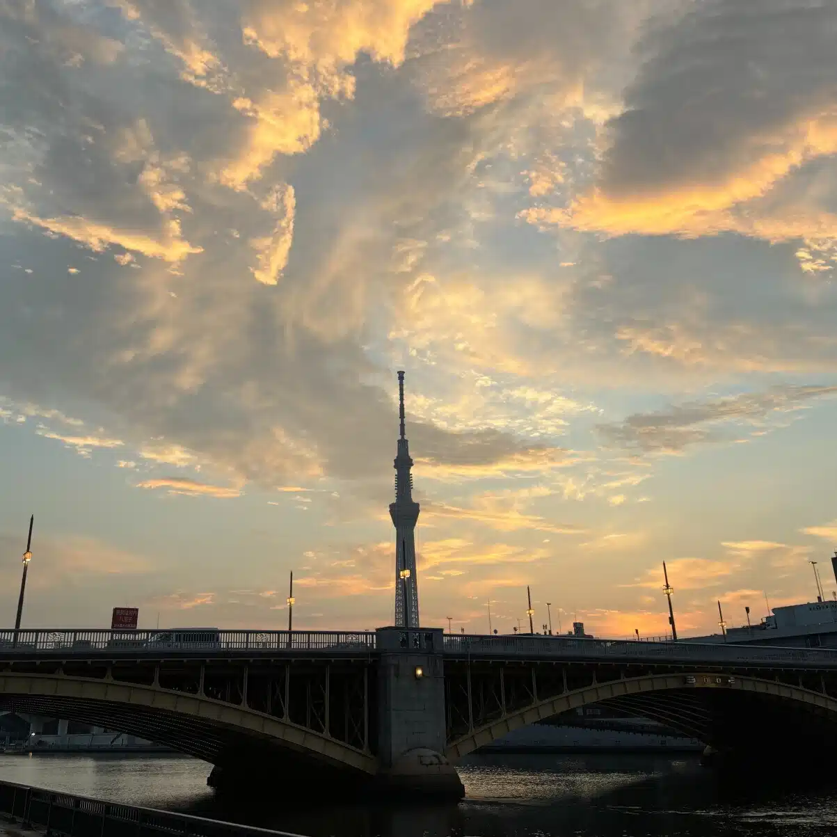 シンプルマイキー