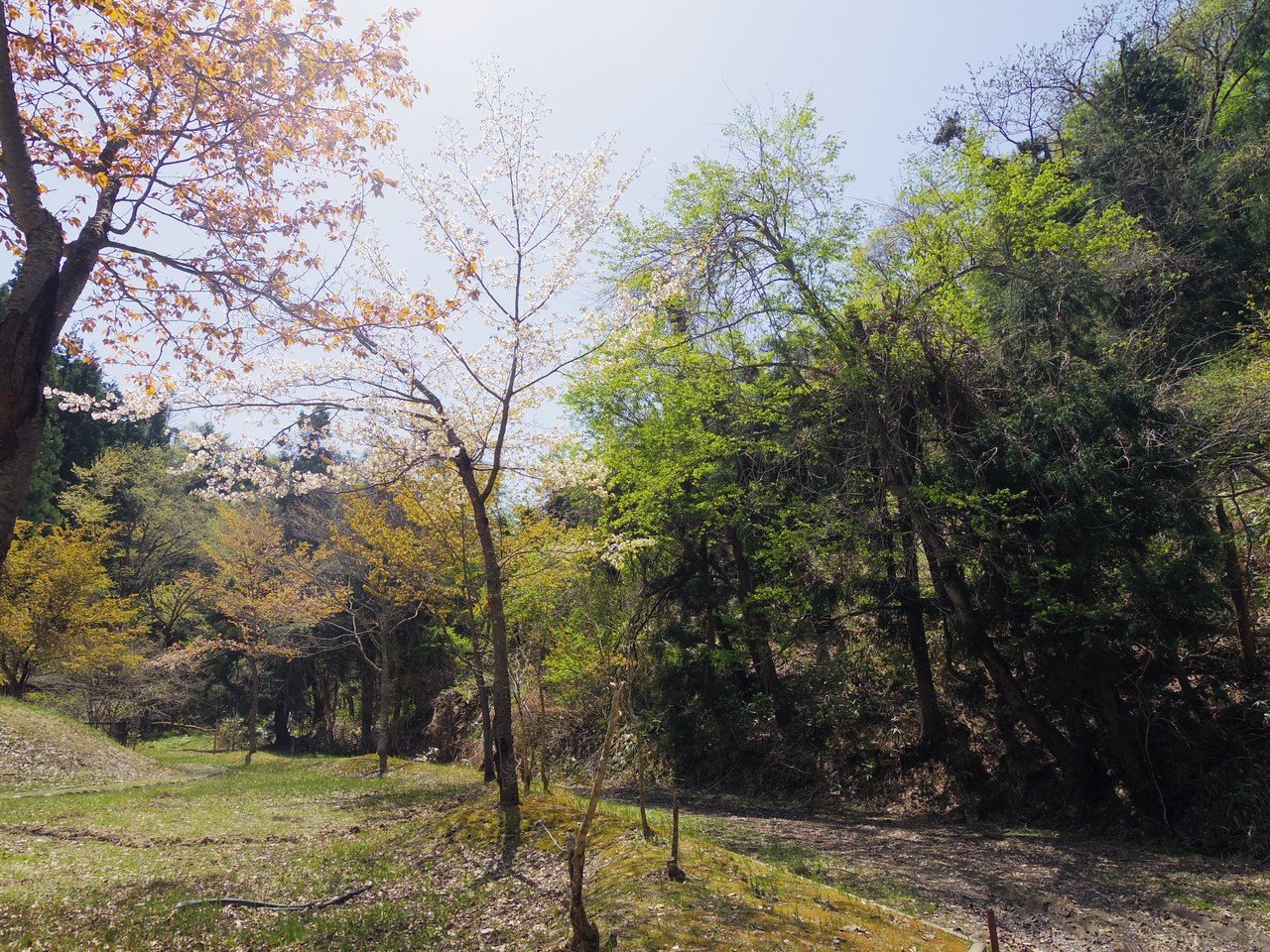 高寺山で青巌を想う｜Mo Chan