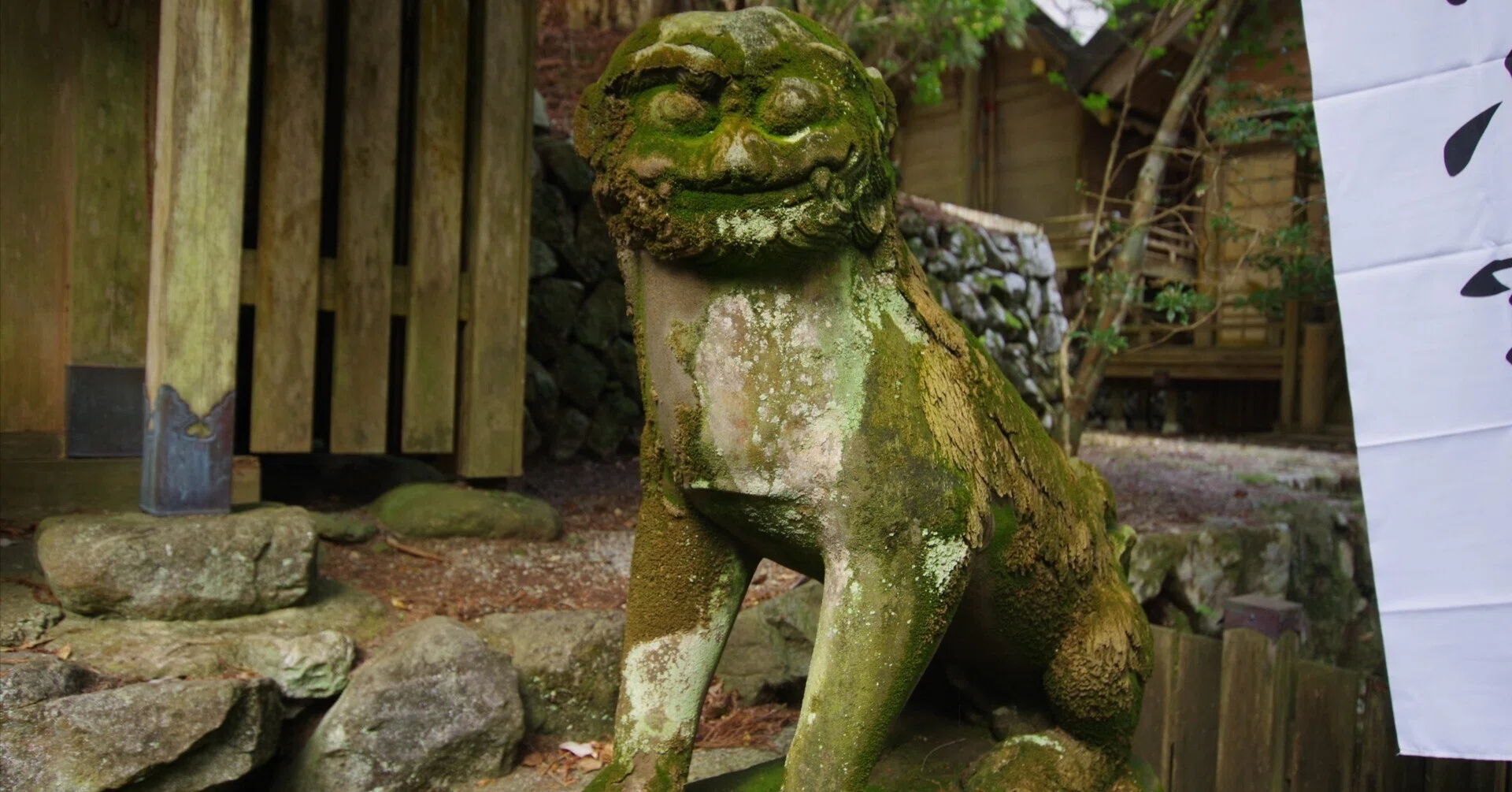 狛犬はどこから来たのか｜阿吽に宿る祈りと、日本で変化した守護の