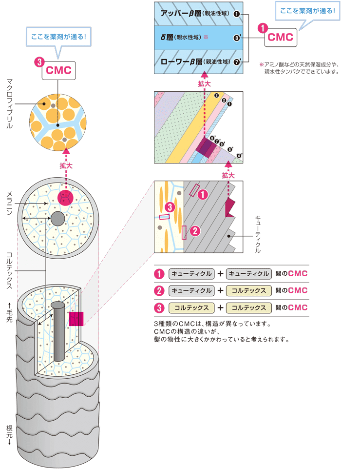 画像11