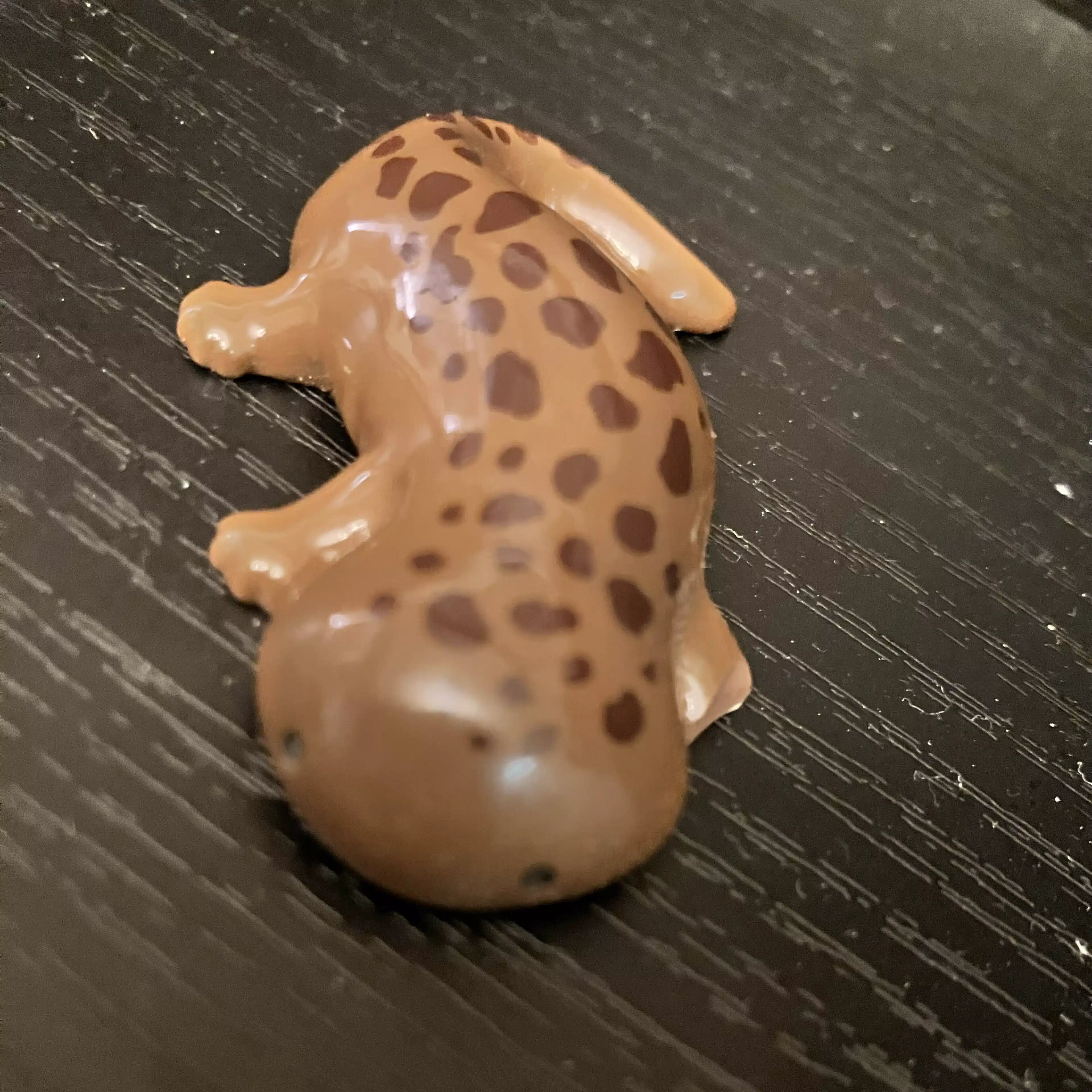 ミニサンショウウオ