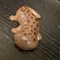 ミニサンショウウオ