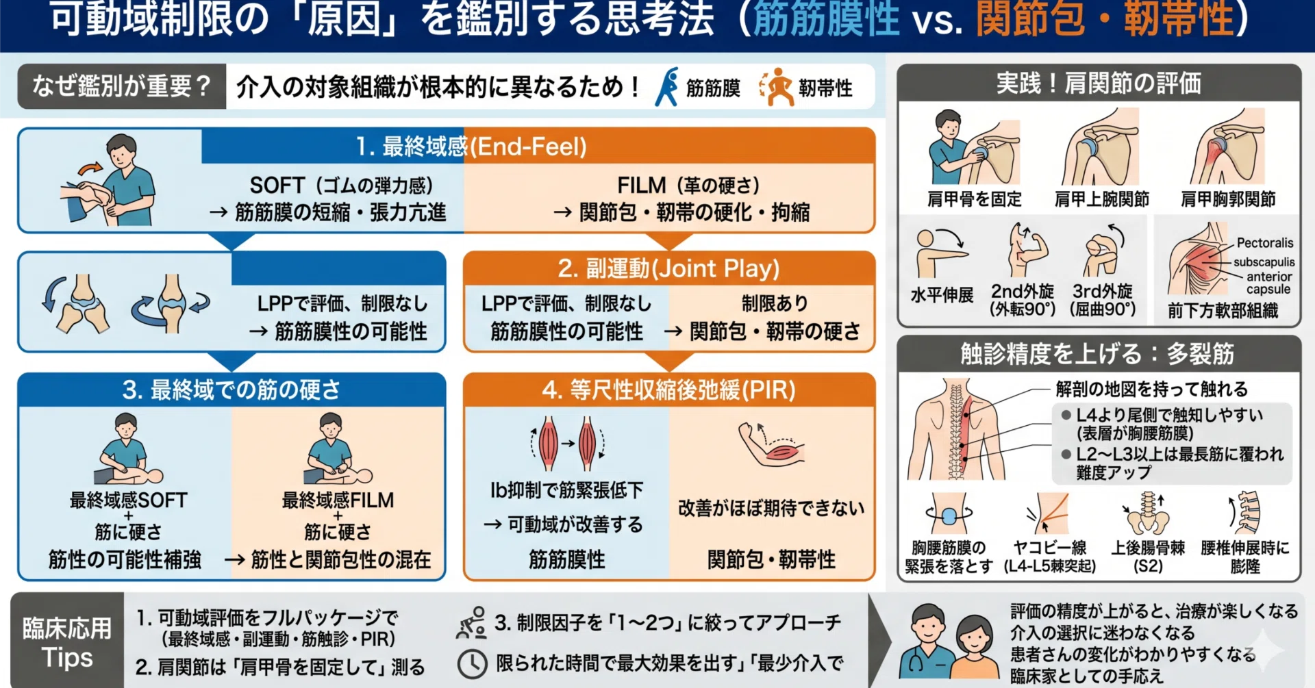 可動域制限の「原因」を見抜けていますか？ 筋筋膜か関節包か、触診で