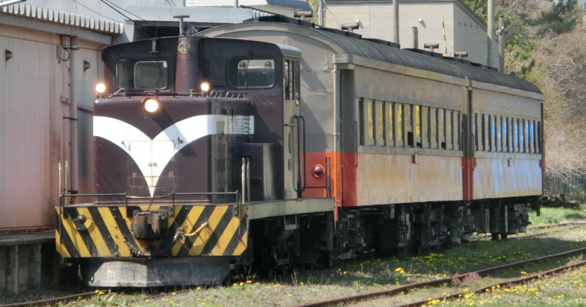 がんばれ津軽鉄道 2026年4月 旧型客車臨時列車運転中｜東京のアライグマ
