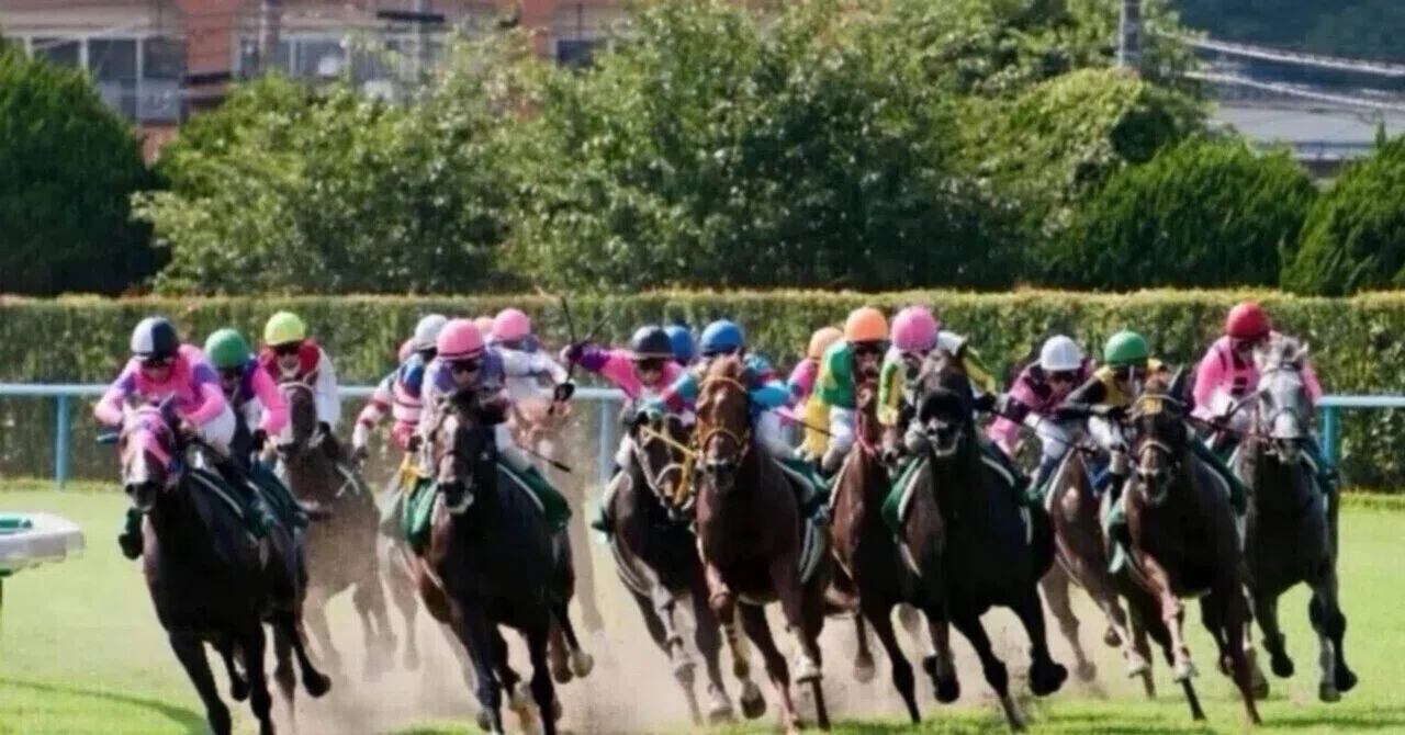 4/25京都競馬11R 単勝一本勝負｜馬券狂じじい