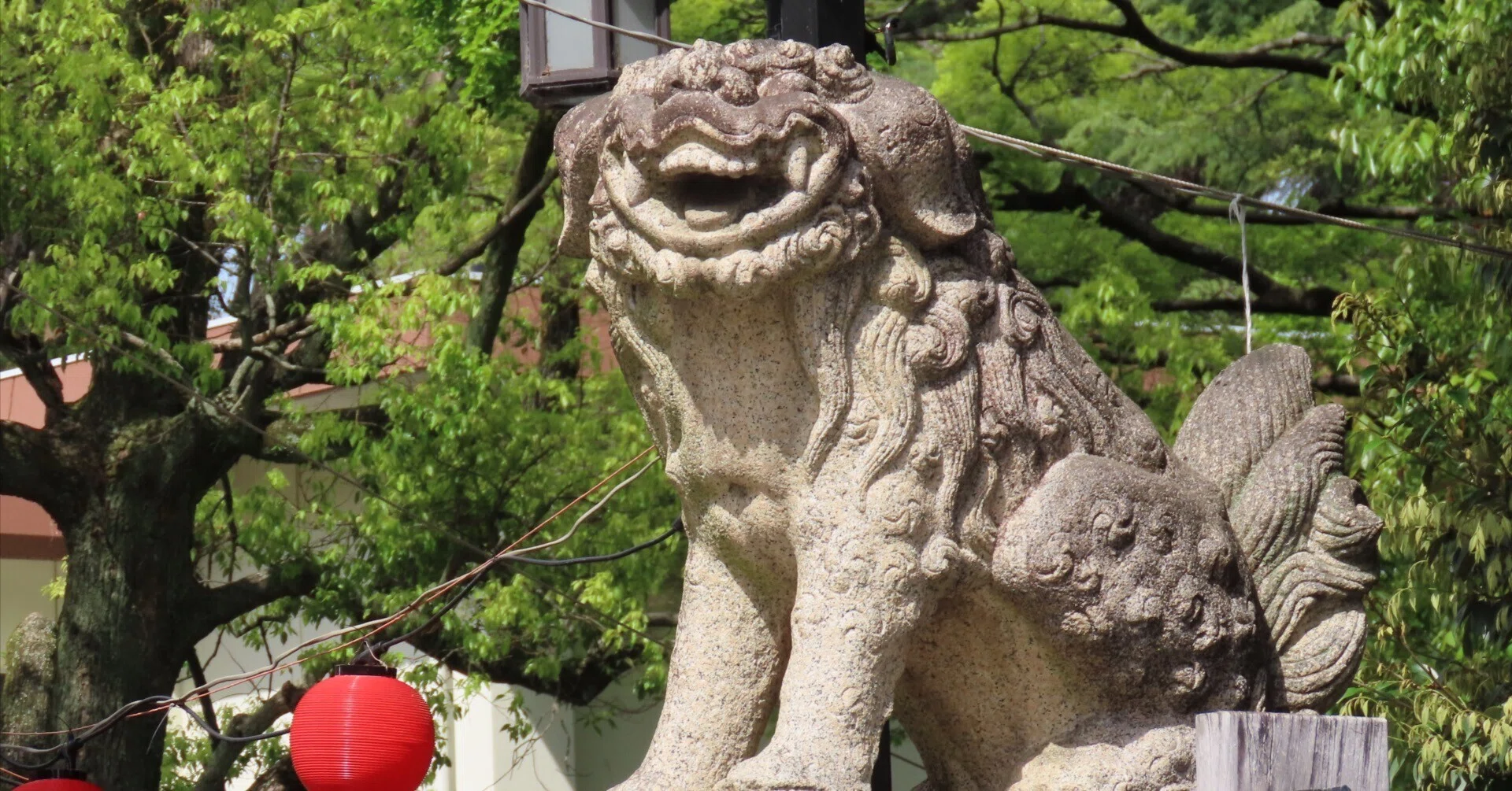 ねこ雲に意識が入る！龍神じゃない、神奈川平塚八幡宮｜nyannko