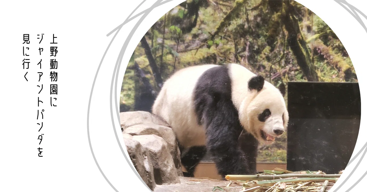 おふたりさま] 上野動物園にジャイアントパンダを見に行く｜しろのろく