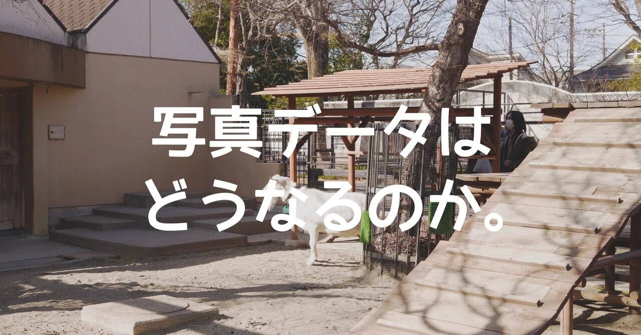 写真データはどうなるのか｜🅣ⓄⓀⓎⓄ Ⓢ🅣ⓇⒺⒺ🅣 🄿🄸🅇