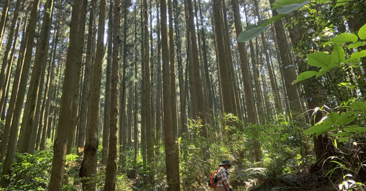 福岡 低山登山 染めもの屋ふく Note
